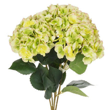 Load image into Gallery viewer, Large 5-Stem Hydrangea