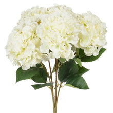 Load image into Gallery viewer, Large 5-Stem Hydrangea