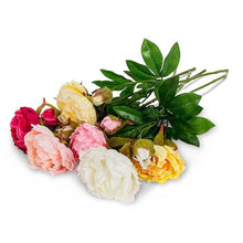 Charger l'image dans la galerie, Double Bloom Peony Stems (6 Colours)