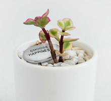 Cargar imagen en el visor de la galería, Sentimental Engraved Aluminum Pebbles (3 Sayings)