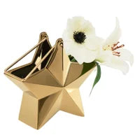 Charger l'image dans la galerie, Grand Vase Étoile en Céramique (2 Couleurs)