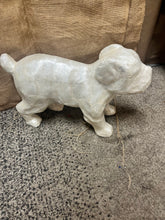 Cargar imagen en el visor de la galería, Unique Dog Display Decor (2 Styles)