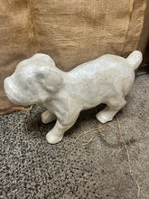 Cargar imagen en el visor de la galería, Unique Dog Display Decor (2 Styles)