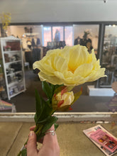 Charger l'image dans la galerie, Double Bloom Peony Stems (6 Colours)