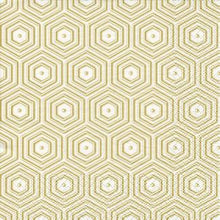 Load image into Gallery viewer, Assorted 20-Pack Lunch Napkins (10 Styles)