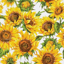 Load image into Gallery viewer, Assorted 20-Pack Lunch Napkins (10 Styles)