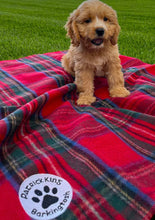 Load image into Gallery viewer, Tartan Pet Blanket - Large (2 Colours)
