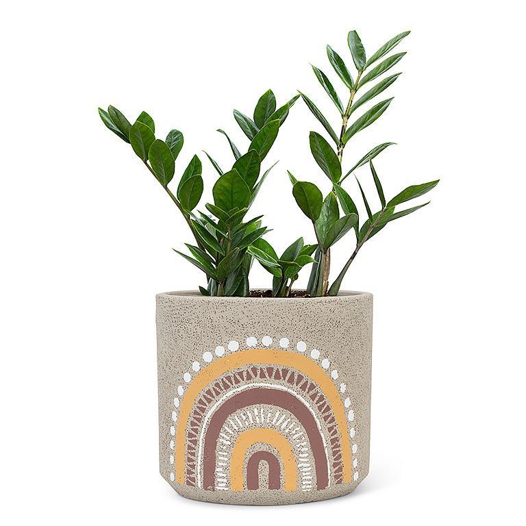 Large Boho Rainbow Planter