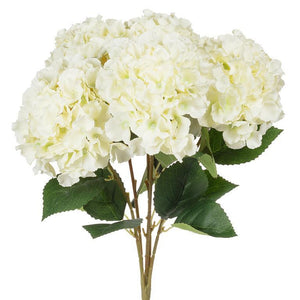 Large 5-Stem Hydrangea