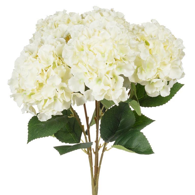 Large 5-Stem Hydrangea