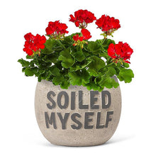 Load image into Gallery viewer, &quot;Soiled Myself&quot; Planter (Only 1 Left!)
