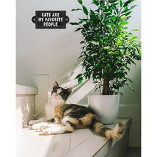 Load image into Gallery viewer, &quot;Cats Are My Favourite People&quot; Sign
