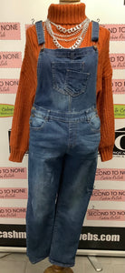 Dark Wash Denim Overalls (Size 9)