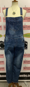 Dark Wash Denim Overalls (Size 9)