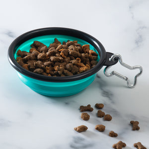 Collapsible Pet Travel Bowl