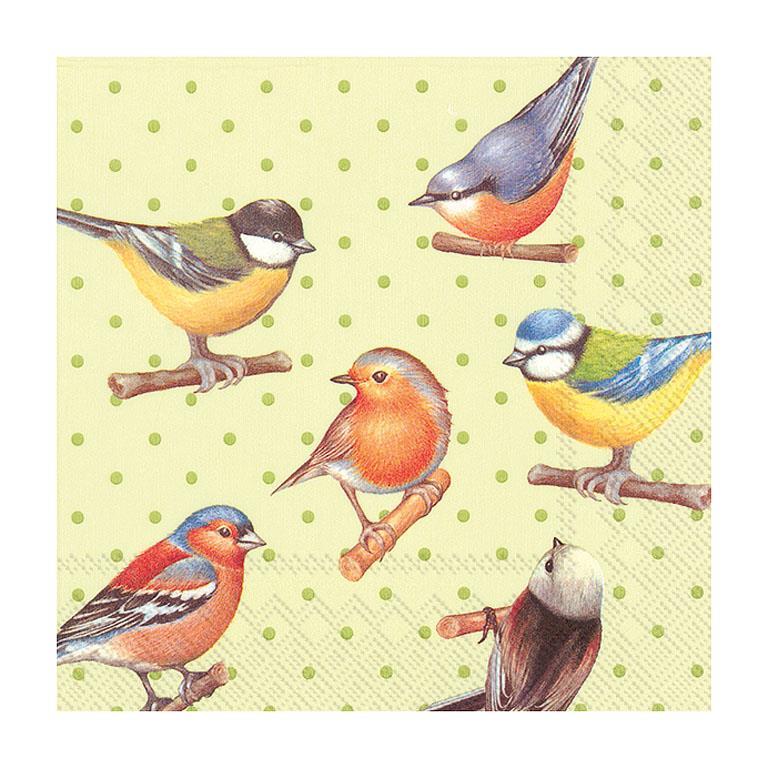 Bird Print 20-Pack Cocktail Napkins (Only 2 Packs Left!)