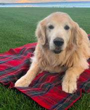 Load image into Gallery viewer, Tartan Pet Blankets- Small  (2 Colours)
