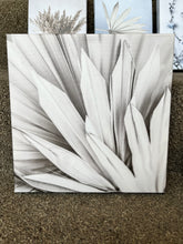Cargar imagen en el visor de la galería, Close-Up Palm Canvas Art
