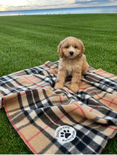 Load image into Gallery viewer, Tartan Pet Blankets- Small  (2 Colours)
