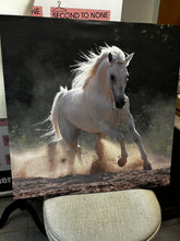 Charger l&#39;image dans la galerie, Large Horse on Canvas Picture
