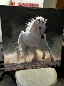 Large Horse on Canvas Picture