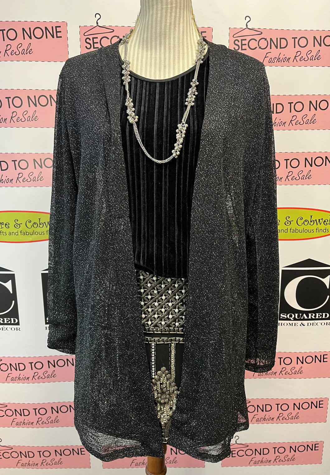 Sheer Sparkly Overlay (Size M)