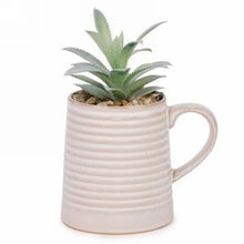 Load image into Gallery viewer, Succulent Plant In Mug (3 Colours)
