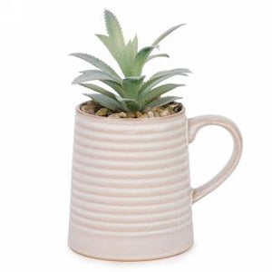 Succulent Plant In Mug (3 Colours)