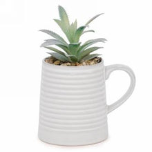 Load image into Gallery viewer, Succulent Plant In Mug (3 Colours)
