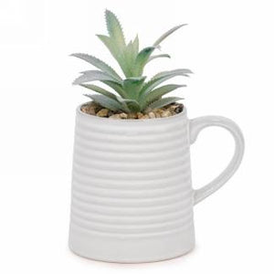 Succulent Plant In Mug (3 Colours)