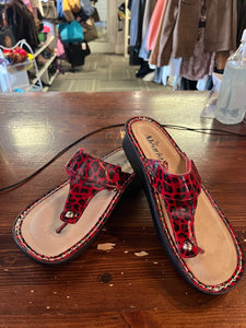Alegria Printed Red Leather Sandals (Size 8)