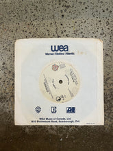 Load image into Gallery viewer, Vintage Rock Promo 45 Vinyls (7 Options)
