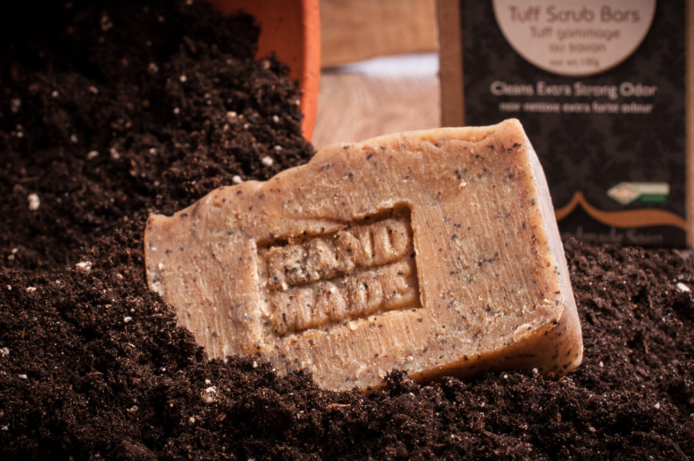 Bar Soap by The Waterford Girl (10 Scents)