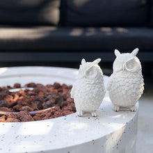 Cargar imagen en el visor de la galería, Owl Decoration
