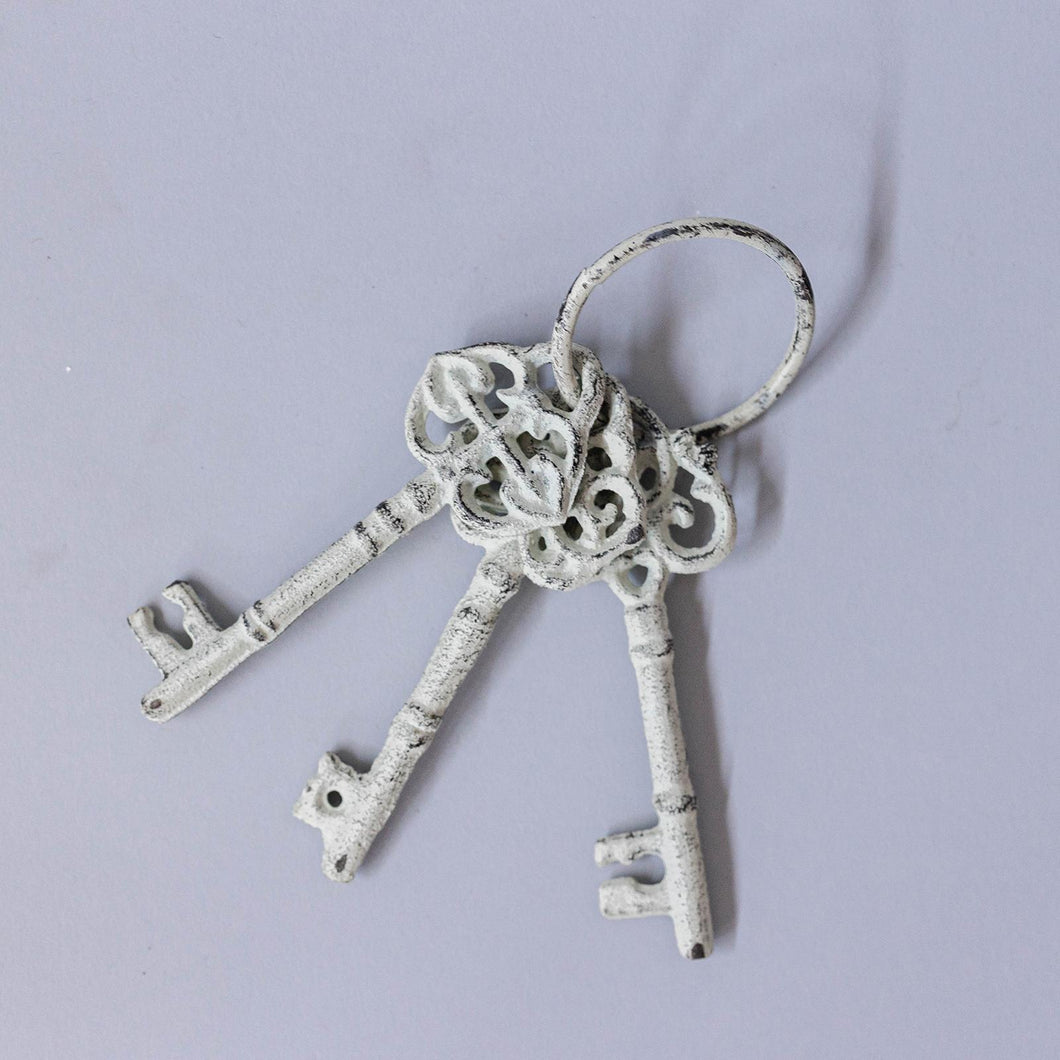Cast Iron Keys On Ring