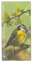 Charger l&#39;image dans la galerie, Animal Tissue Packs (4 Animals)

