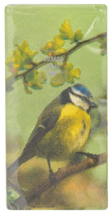 Animal Tissue Packs (4 Animals)