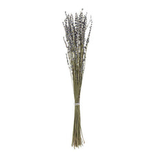 Load image into Gallery viewer, Lavender Stems
