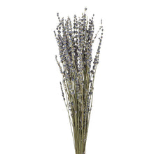 Load image into Gallery viewer, Lavender Stems
