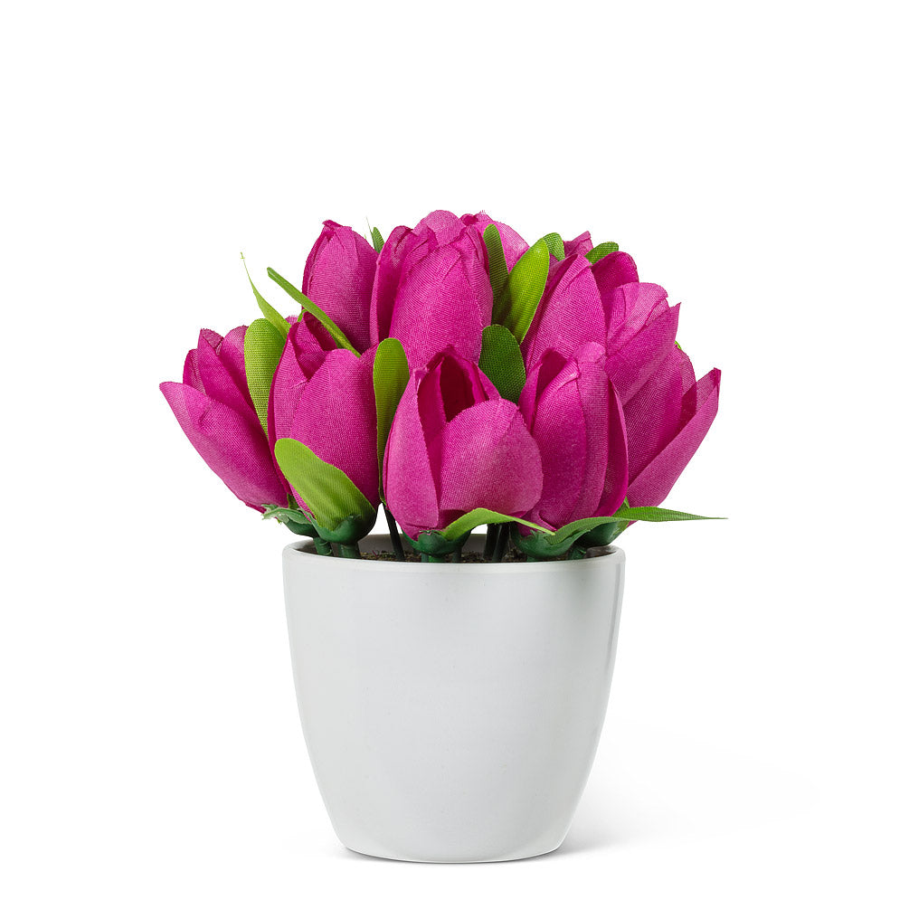 Têtes de tulipes en pot (il n'en reste que 1 !)