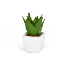 Load image into Gallery viewer, Mini Succulents (3 Styles Left!)
