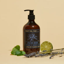 Load image into Gallery viewer, Honey Hill Liquid Soap (Only 1 Scent Left)
