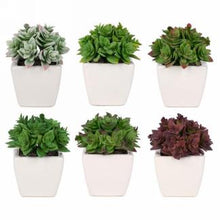 Load image into Gallery viewer, White Potted Plants (6 Options) (Restocked!)
