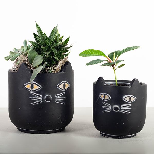 Black Cat Flower Pots (Only 1 Large Left!)