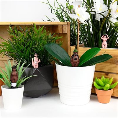 Mini Plant Pot Naked Ramblers